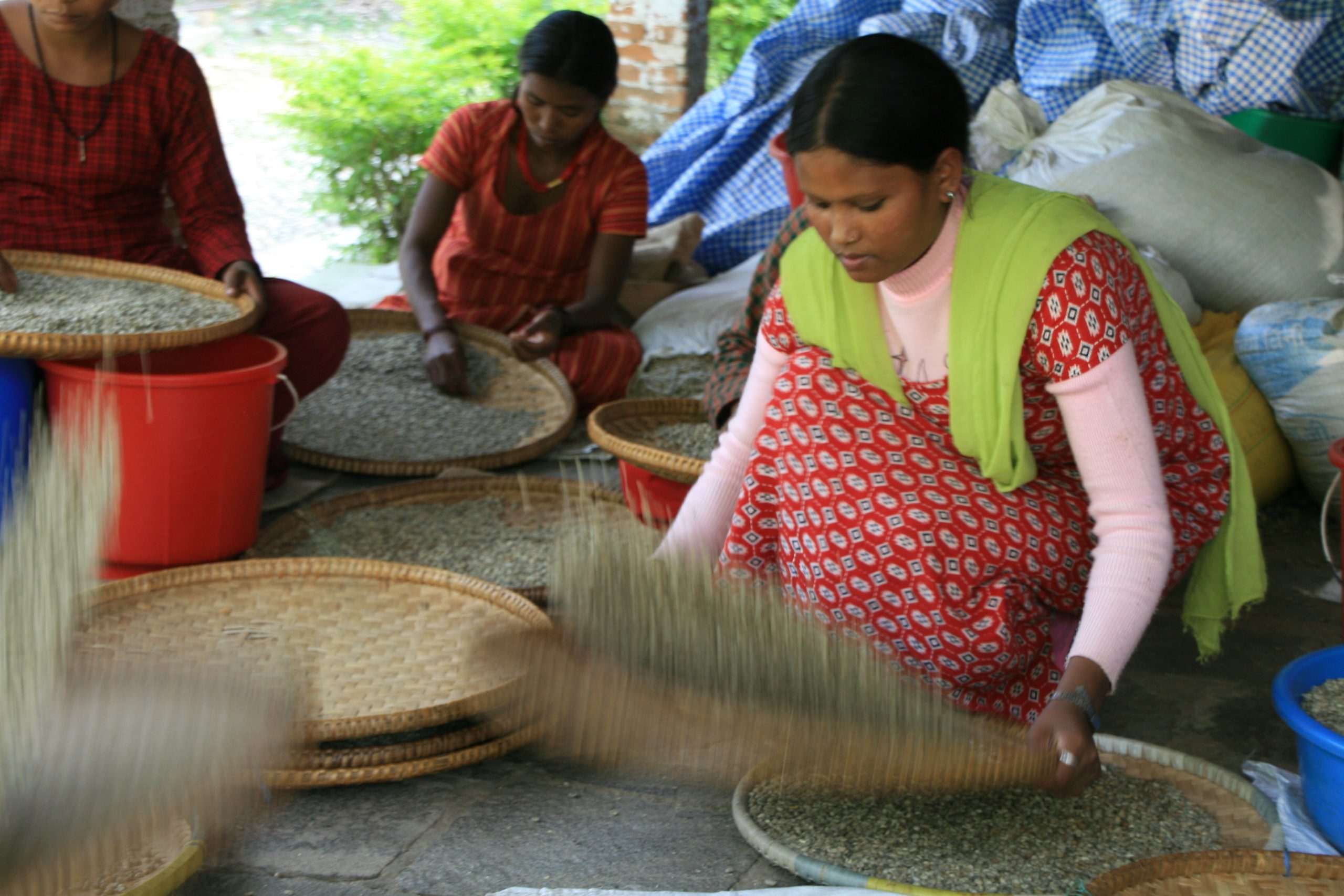 Nepal coffee