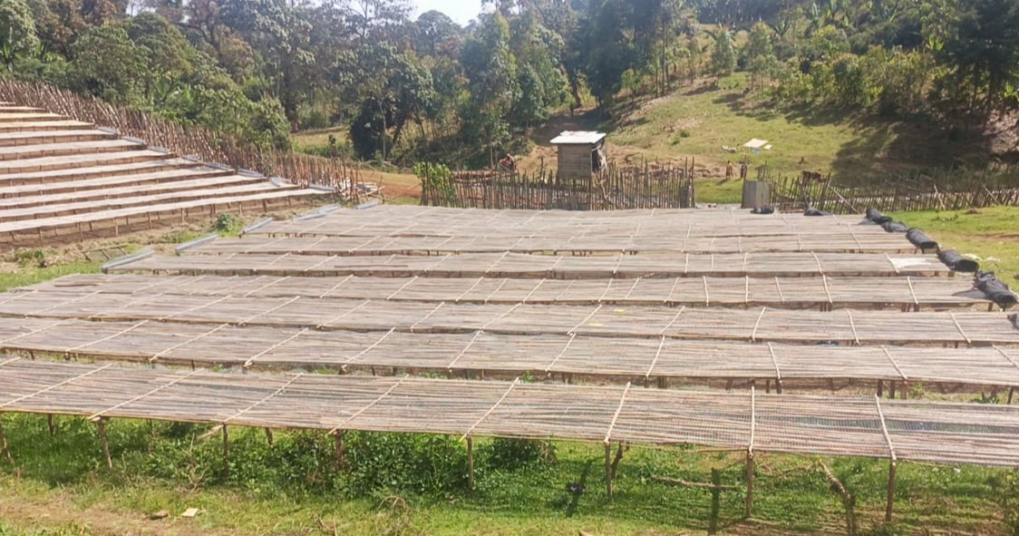 Ethiopia Washed Sidamo Gr.1_Nensebo 119c