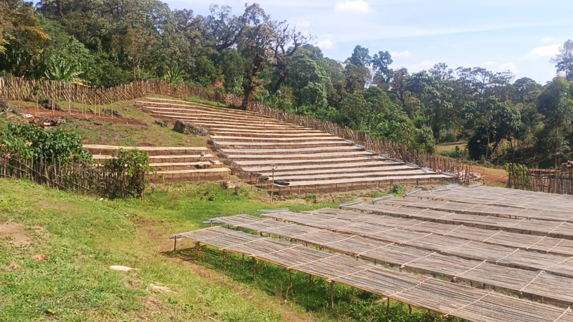 Ethiopia Washed Sidamo Gr.1_Nensebo