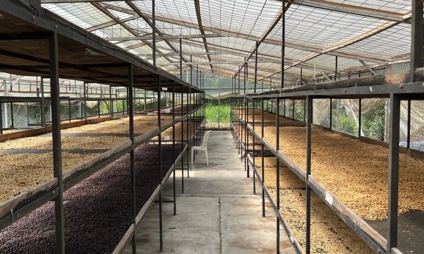 finca fantasia 6b