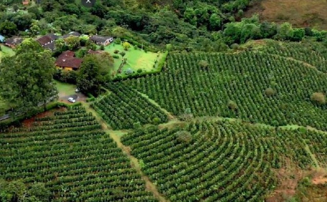 finca la fantasia