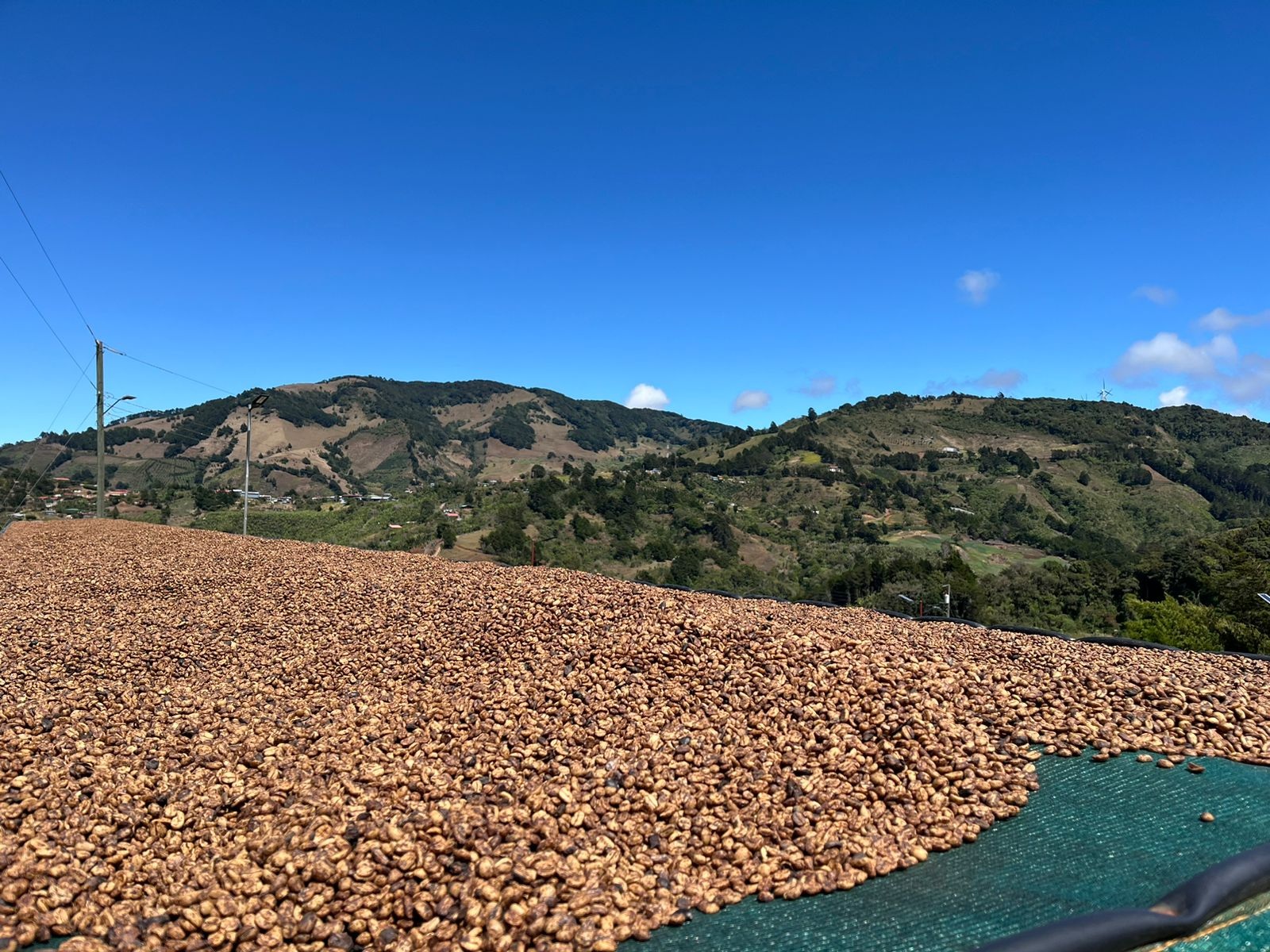 cosa rica san diego 1