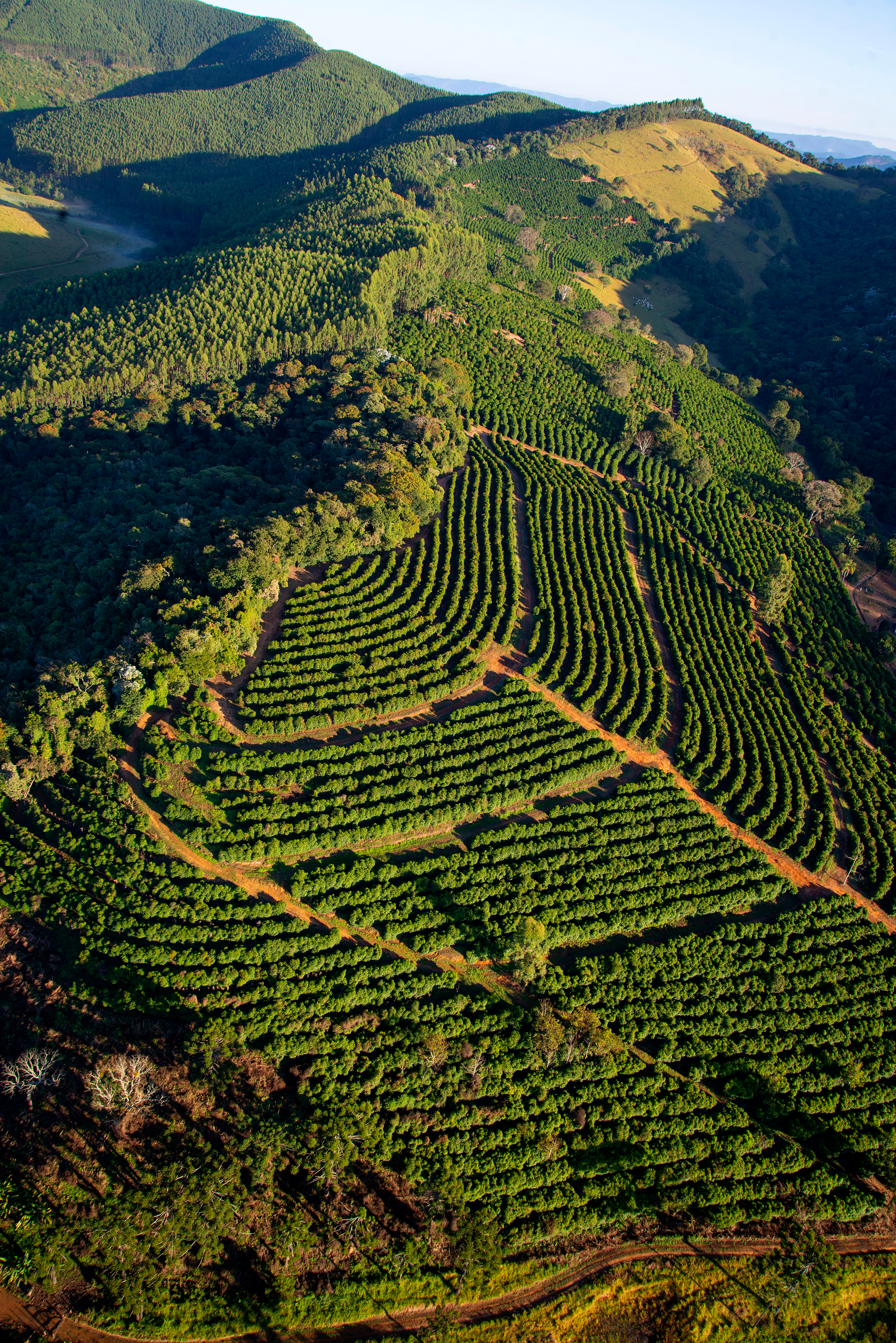 Aerial,View,Of,Coffee,Plantations,In,The,Serra,Da,Mantiqueira